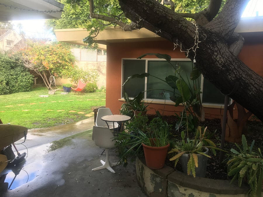 Back garden and patio