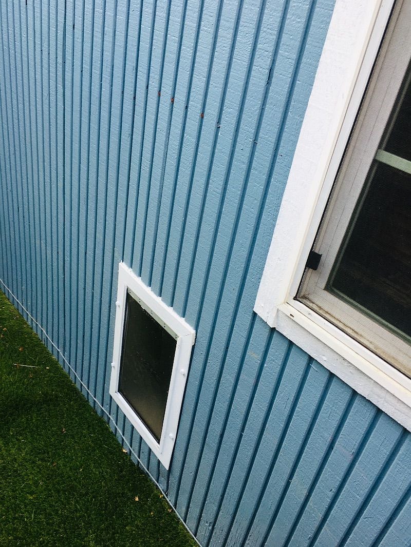 Doggie door to gated dog run (can be closed if you have an indoor cat).