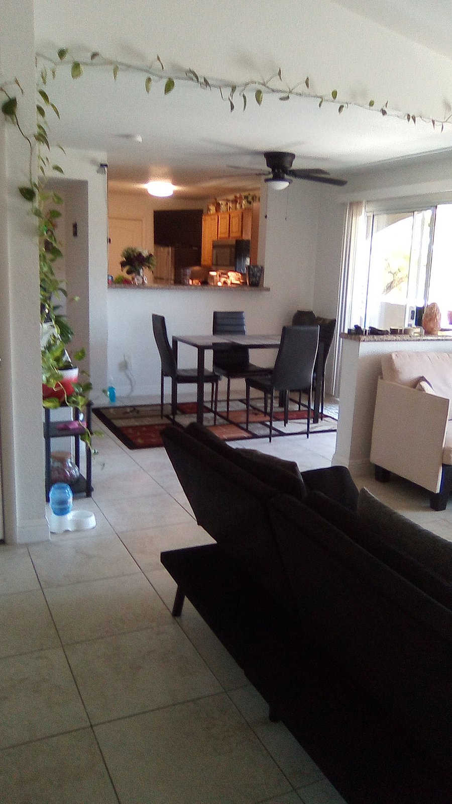 Furnished Finder property 376248_1 photo 11