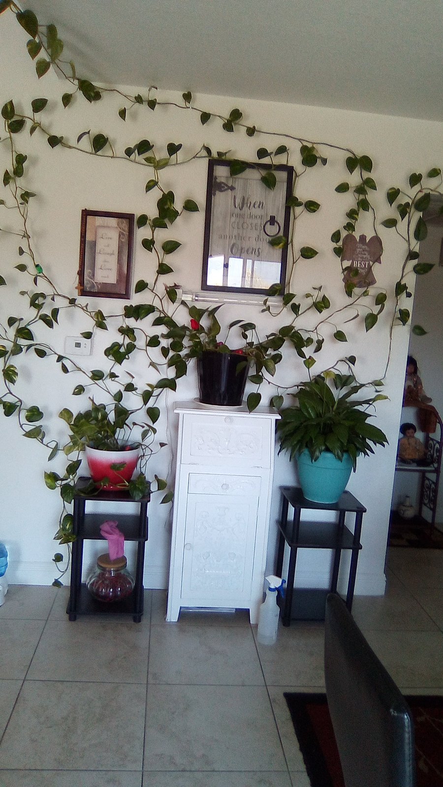 Furnished Finder property 376248_1 photo 12