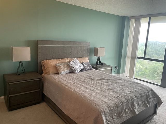 Furnished Finder property 376282_1 photo 10