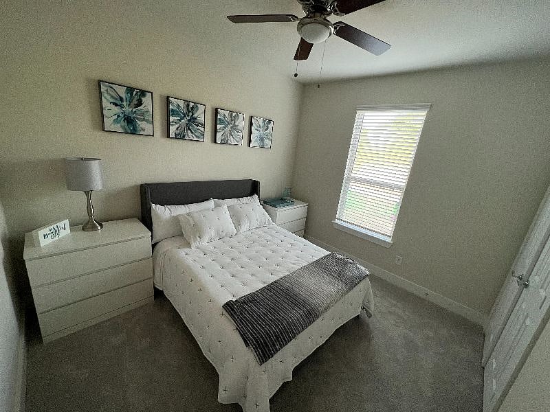 Furnished Finder property 376302_1 photo 3