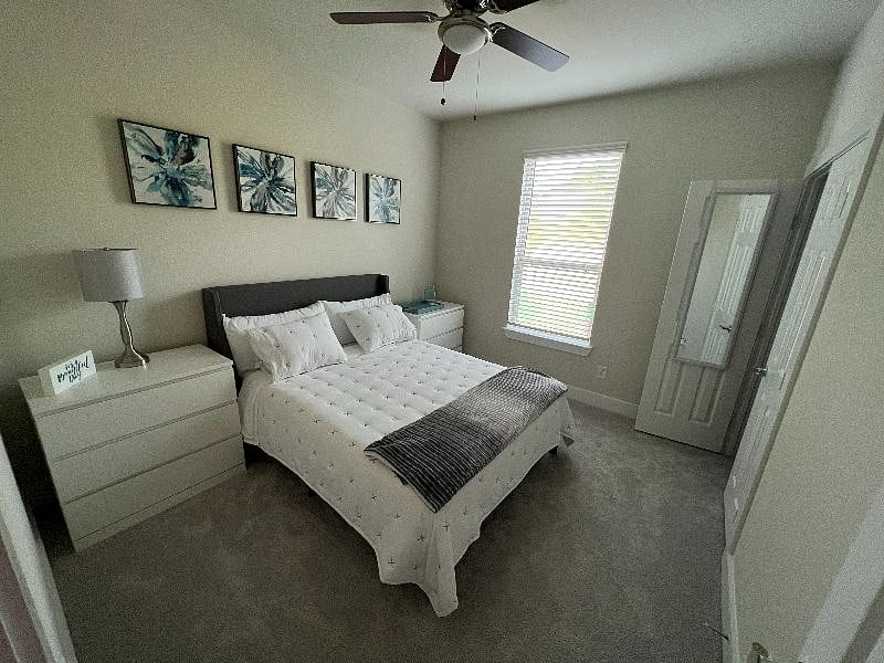 Furnished Finder property 376302_1 photo 6