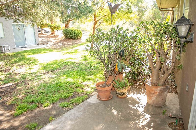 patio abutting green space out back