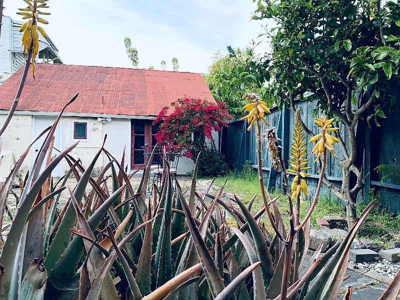 GARDEN
Sip your morning coffee in the charming, shared garden, ideal for outdoor relaxation and activities. You'll be surrounded by leafy and colorful lemon trees, bougainvillea, bird of paradise, and aloe.
Seating Area with Table and Chairs