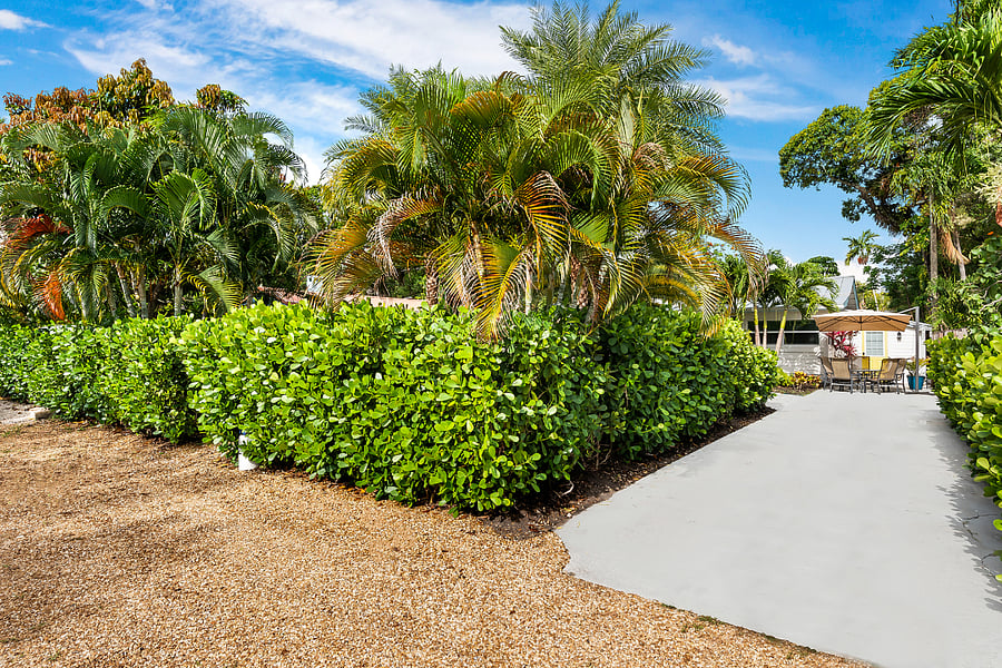 Furnished Finder property 376947_1 photo 3