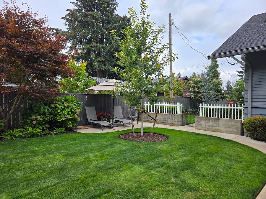 Furnished Finder property 377183_1 photo 35