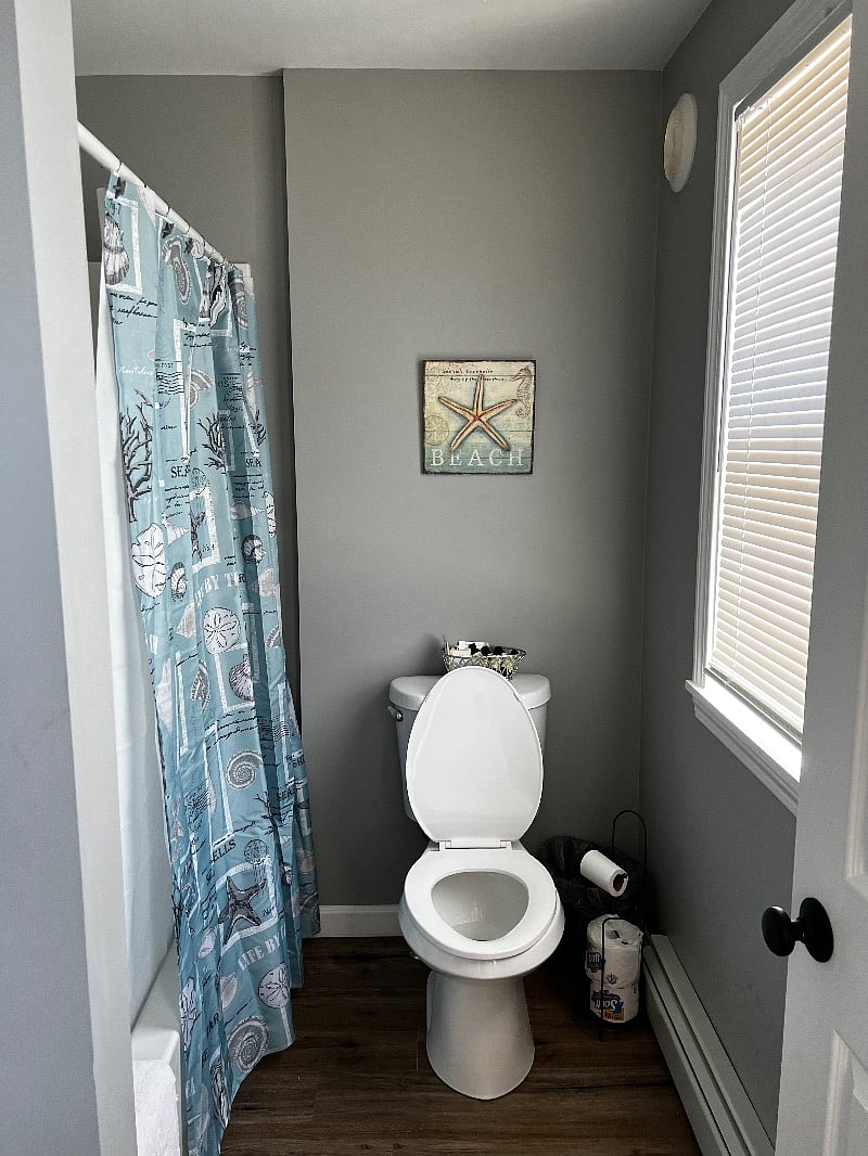 Furnished Finder property 377293_2 photo 11