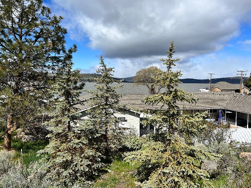 Furnished Finder property 377341_1 photo 4