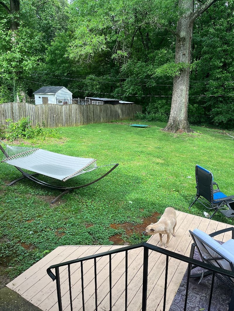 Furnished Finder property 377514_1 photo 17