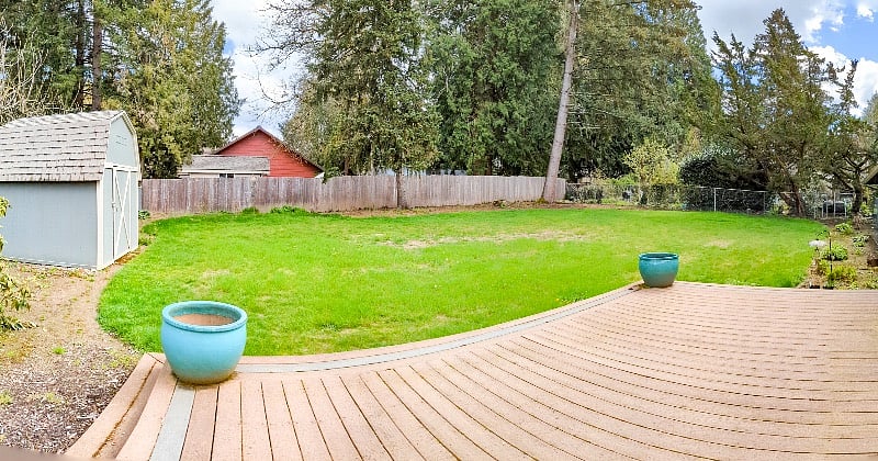 Big backyard! 