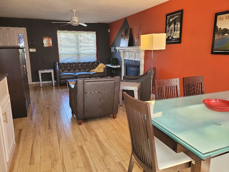 Furnished Finder property 377573_1 photo 3