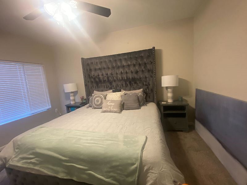 Furnished Finder property 377800_1 photo 14