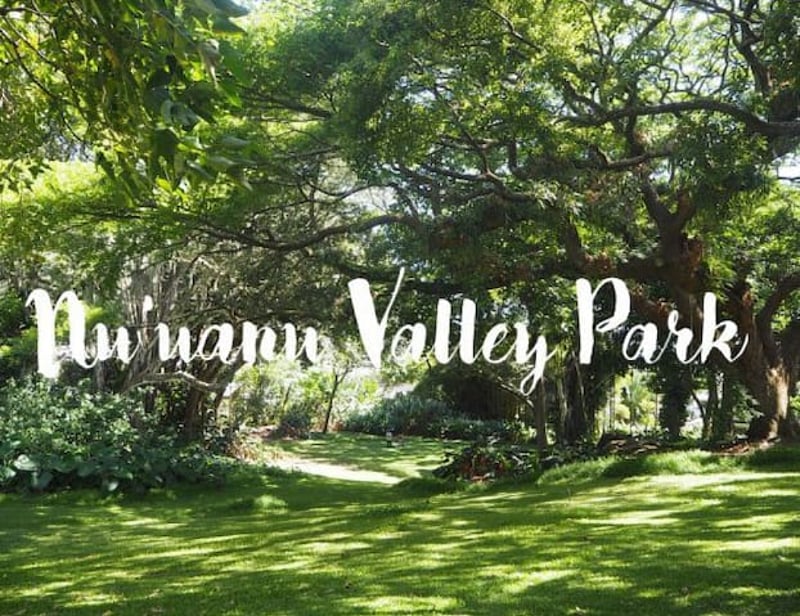 Your new backyard!