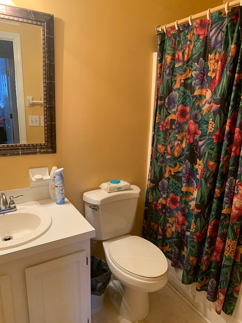 Furnished Finder property 378328_1 photo 8