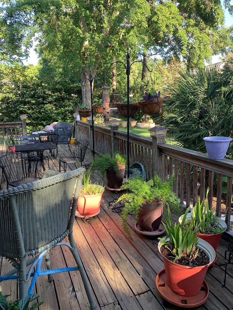 Furnished Finder property 378328_1 photo 5
