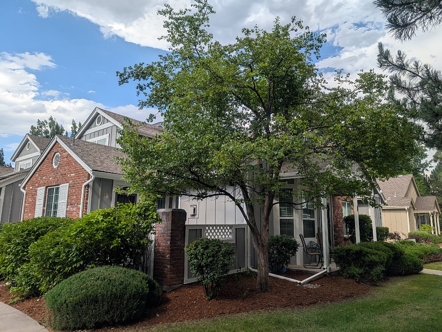 Furnished Finder property 378386_1 photo 143