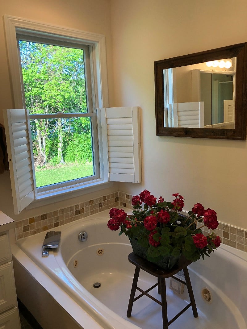 Furnished Finder property 378614_1 photo 20