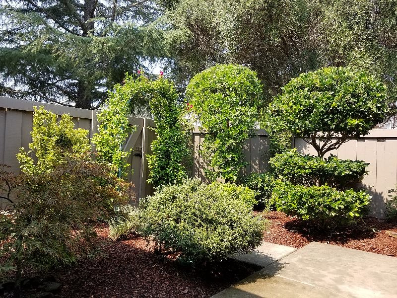 Furnished Finder property 378628_1 photo 33