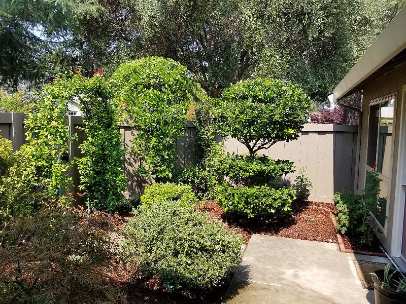 Furnished Finder property 378628_1 photo 34