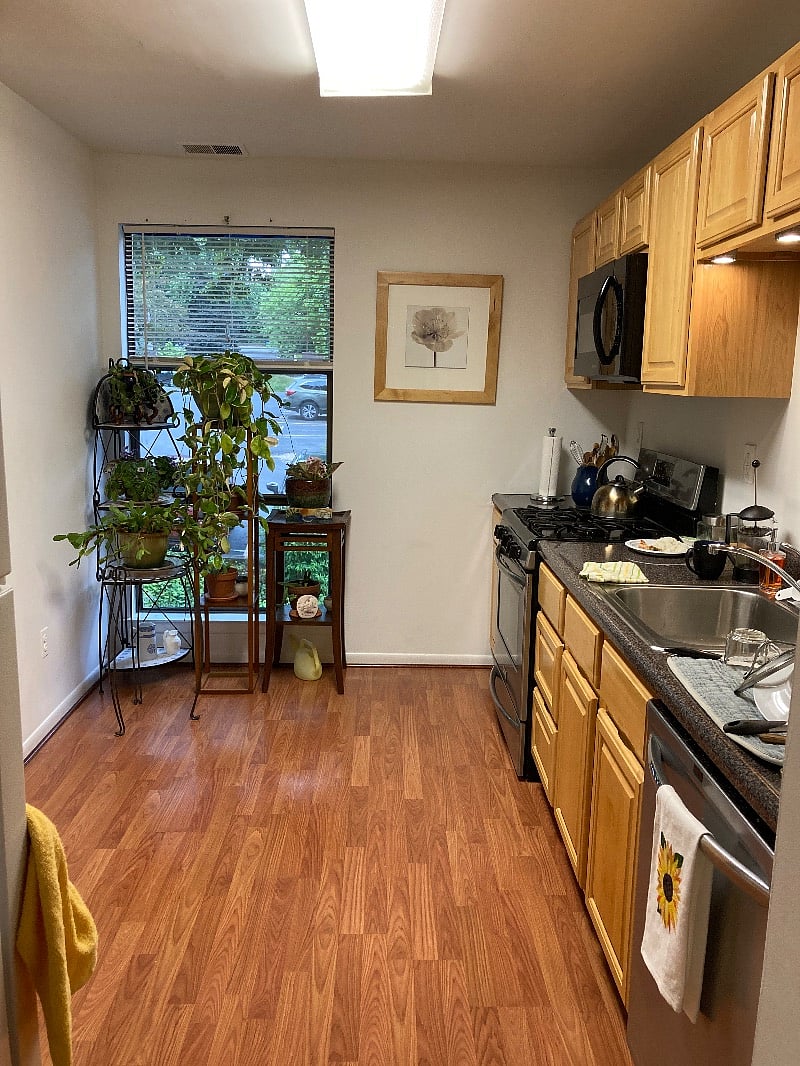 Furnished Finder property 378690_1 photo 6