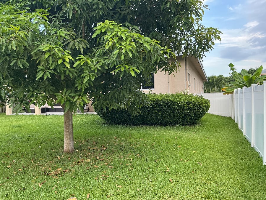 Furnished Finder property 378714_1 photo 26