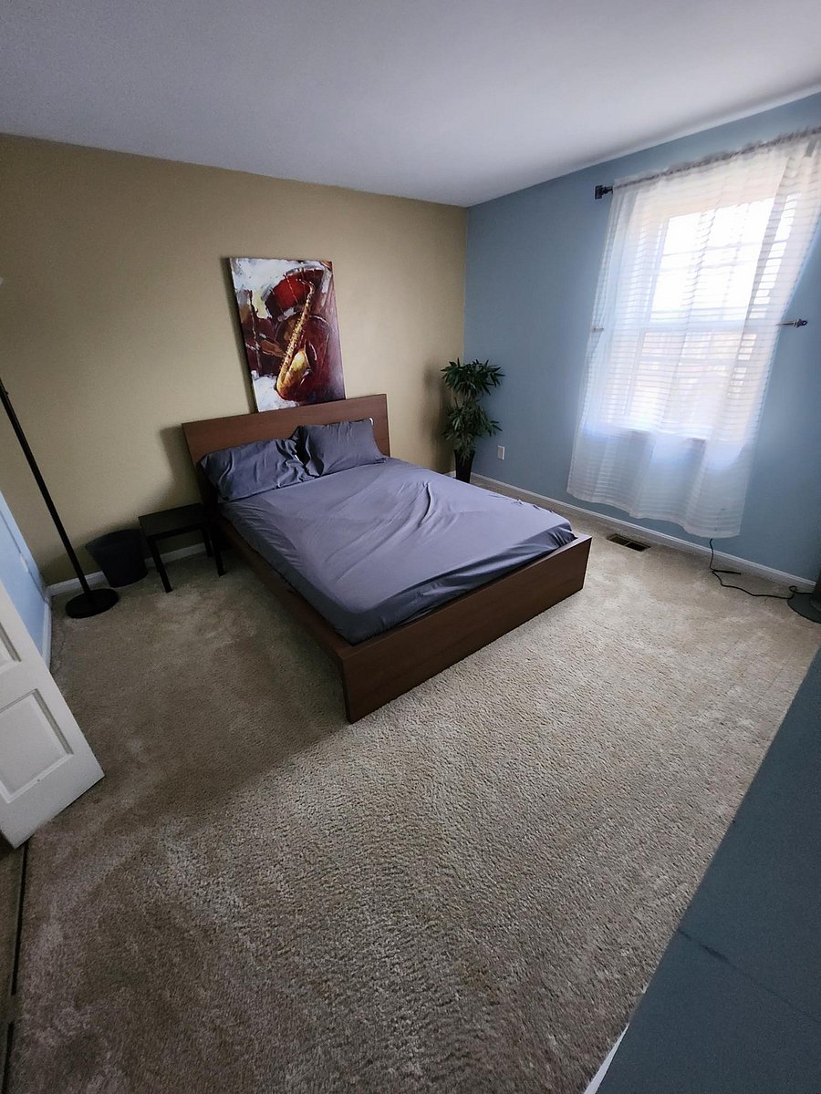 Furnished Finder property 378800_1 photo 23