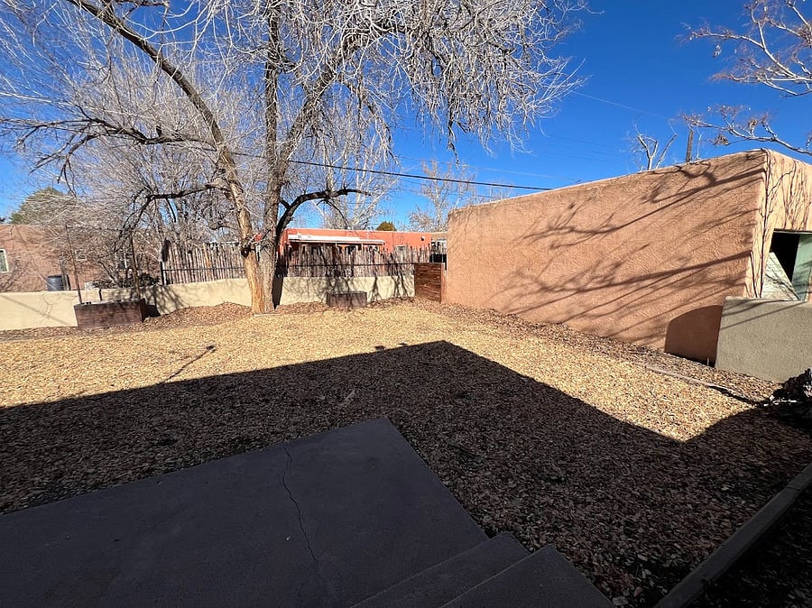 Backyard