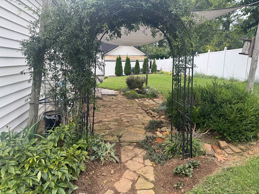 Working on this area for Spring of 2027!!