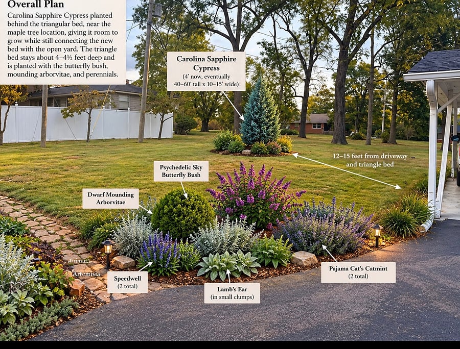 Here is our plan for the area that we had to cut the big old Maple tree down!! Planting has started with a beautiful little Carolina Cypress in the background, purple butterfly bush and mounding arborvitae! We are excited for spring!!