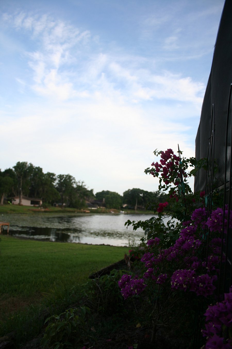 Furnished Finder property 378958_1 photo 15