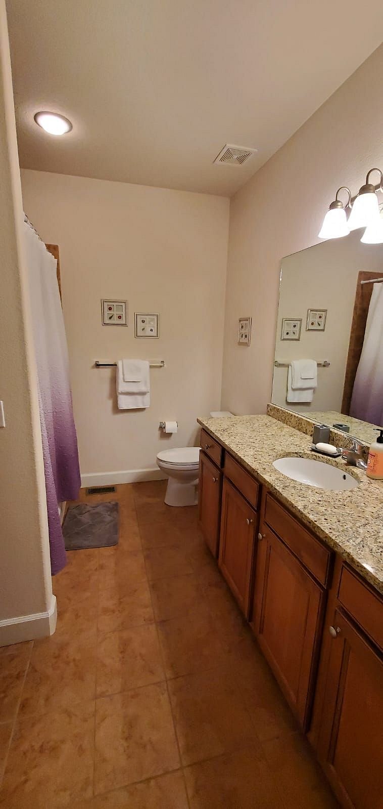 Furnished Finder property 379121_1 photo 17