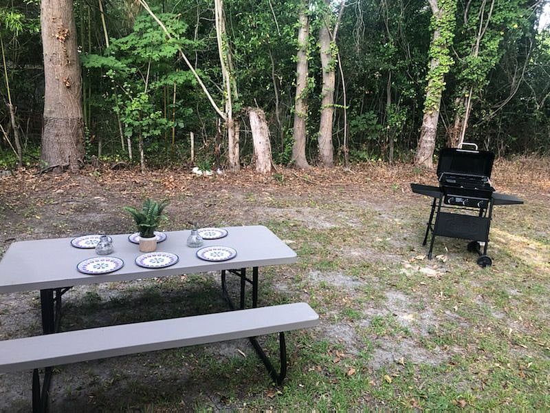 Picnic table and BBQ 