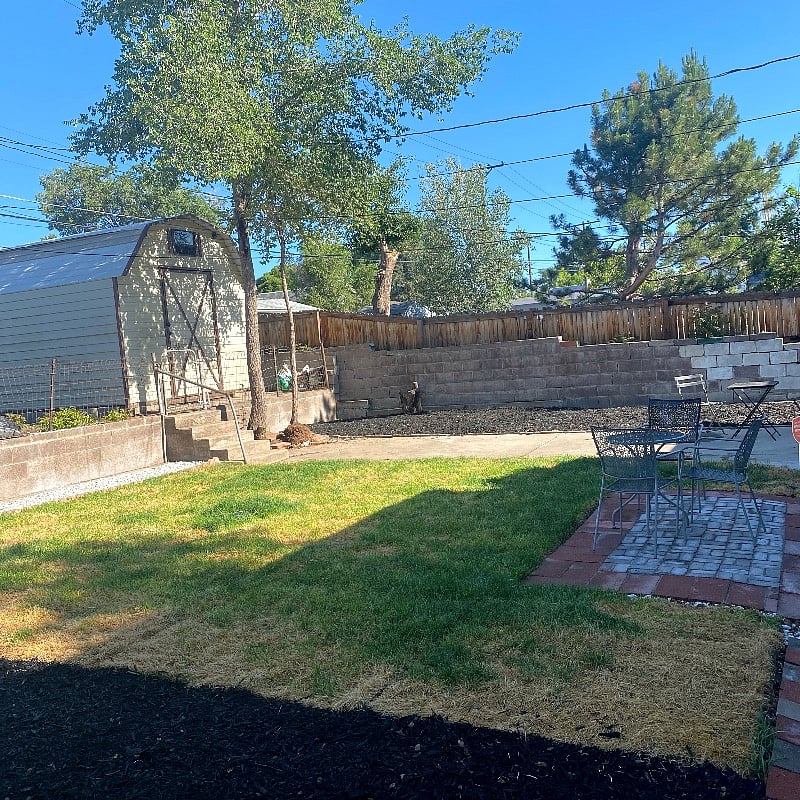 Fenced backyard 