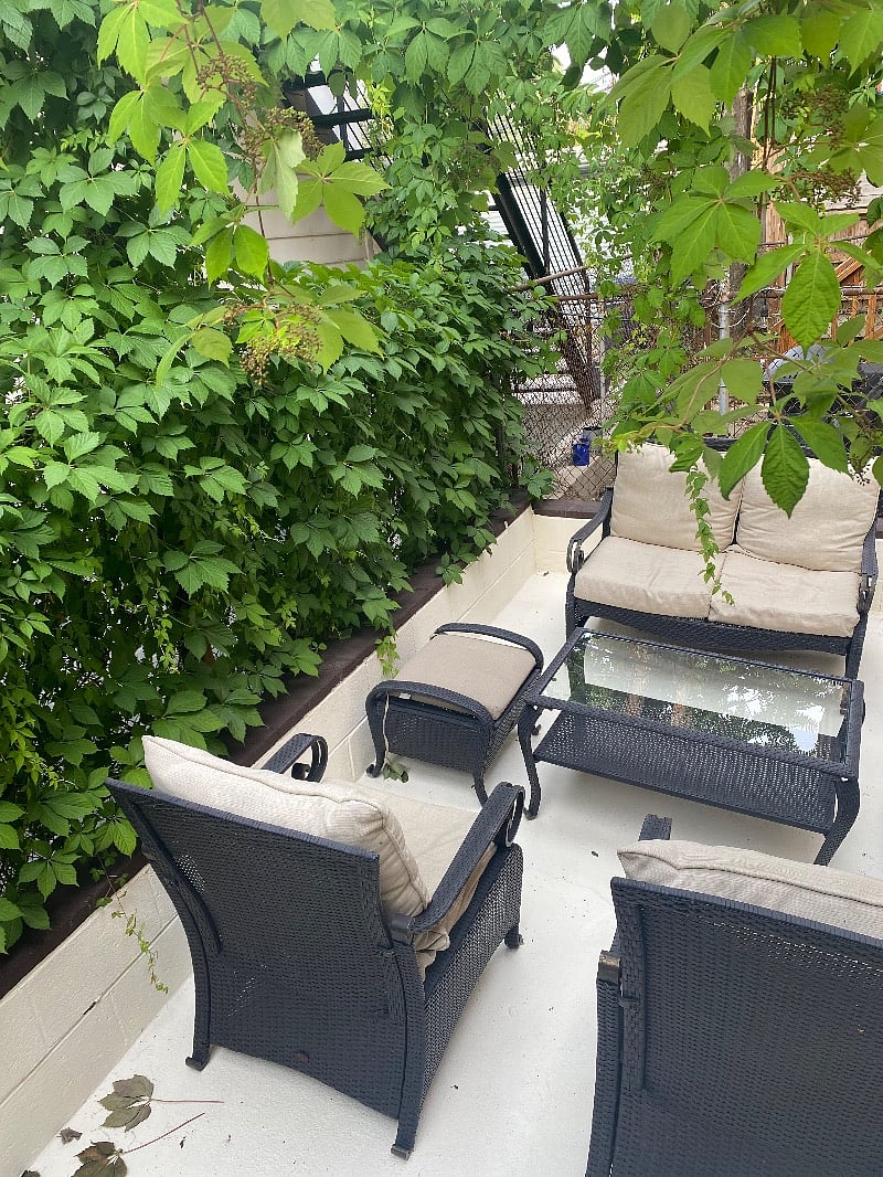 Furnished Finder property 379329_1 photo 54