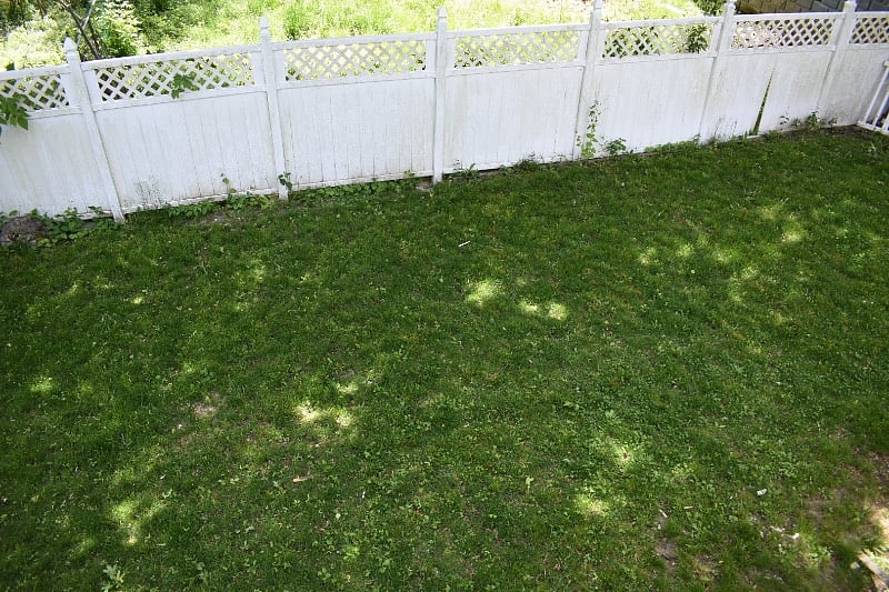 Furnished Finder property 379403_1 photo 7