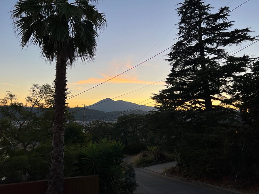 Street view of Mt.Tam.