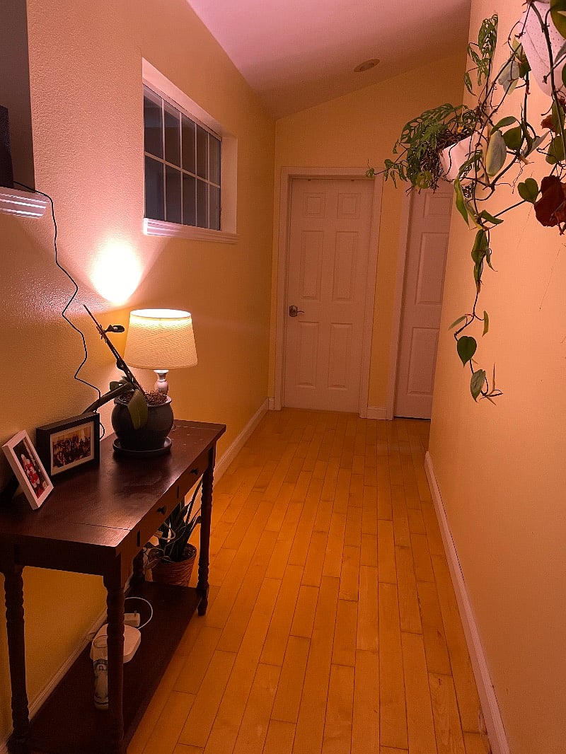 Furnished Finder property 379633_1 photo 7