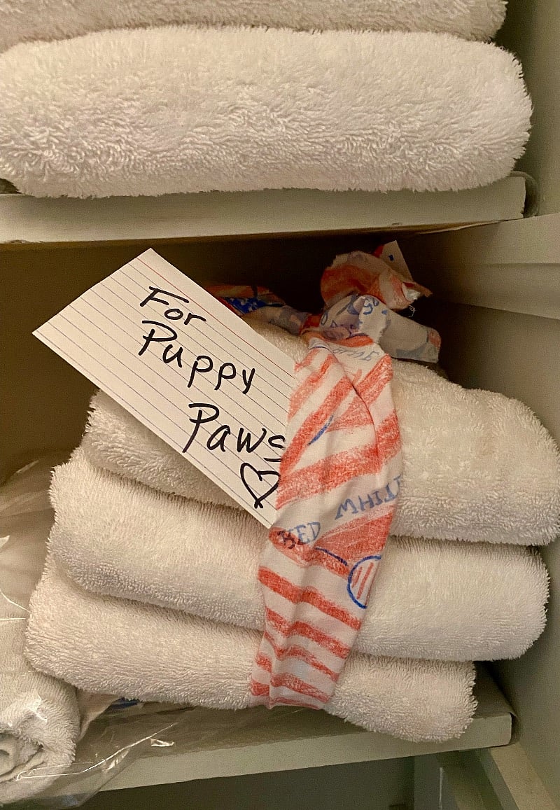 Extra towels for rainy days and muddy paws