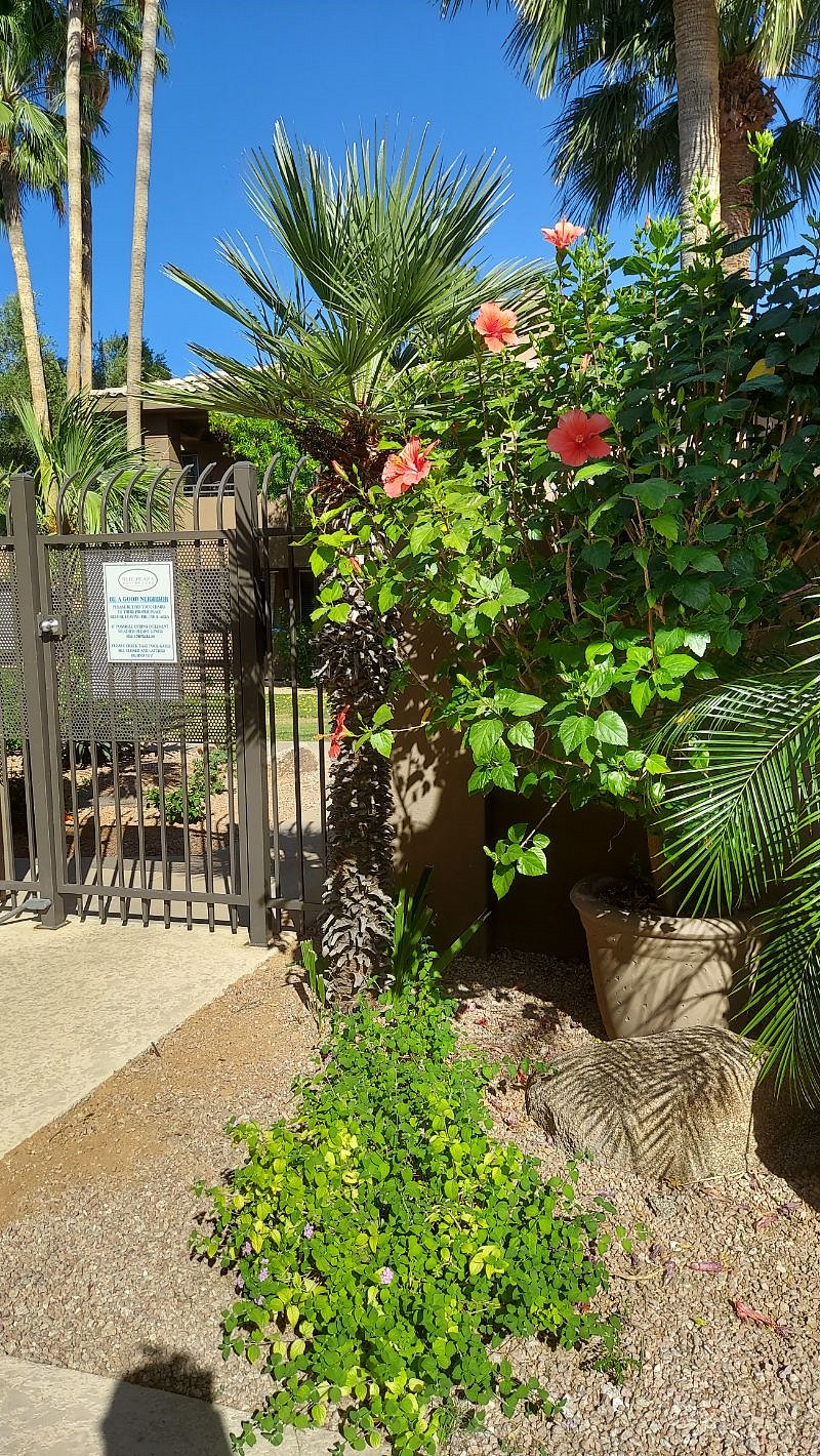 Furnished Finder property 379746_1 photo 26
