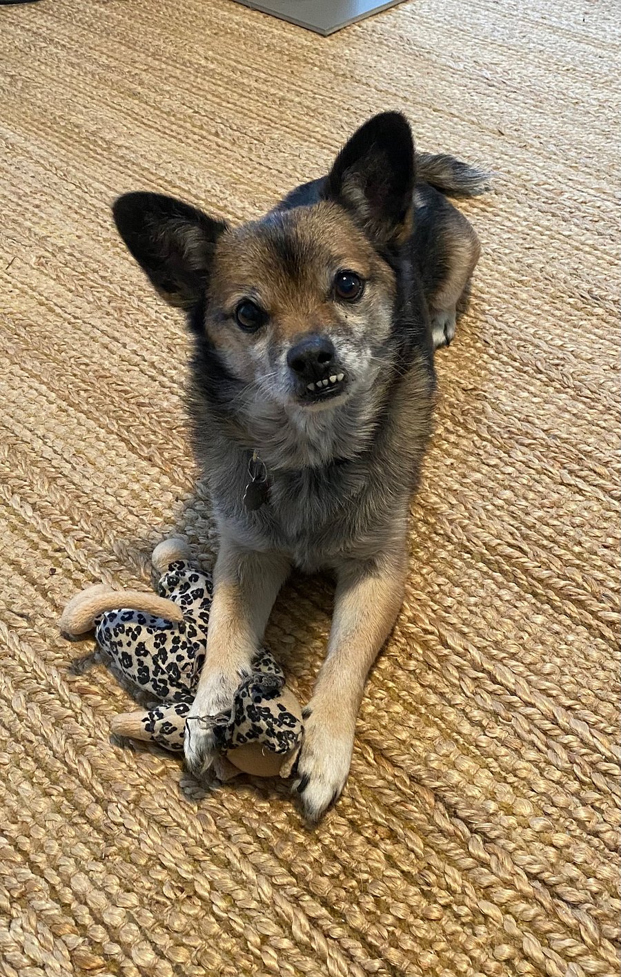 Friendly dog Bentley May greet you, but is mainly in primary home.
