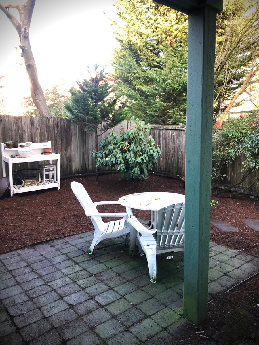 Backyard patio.