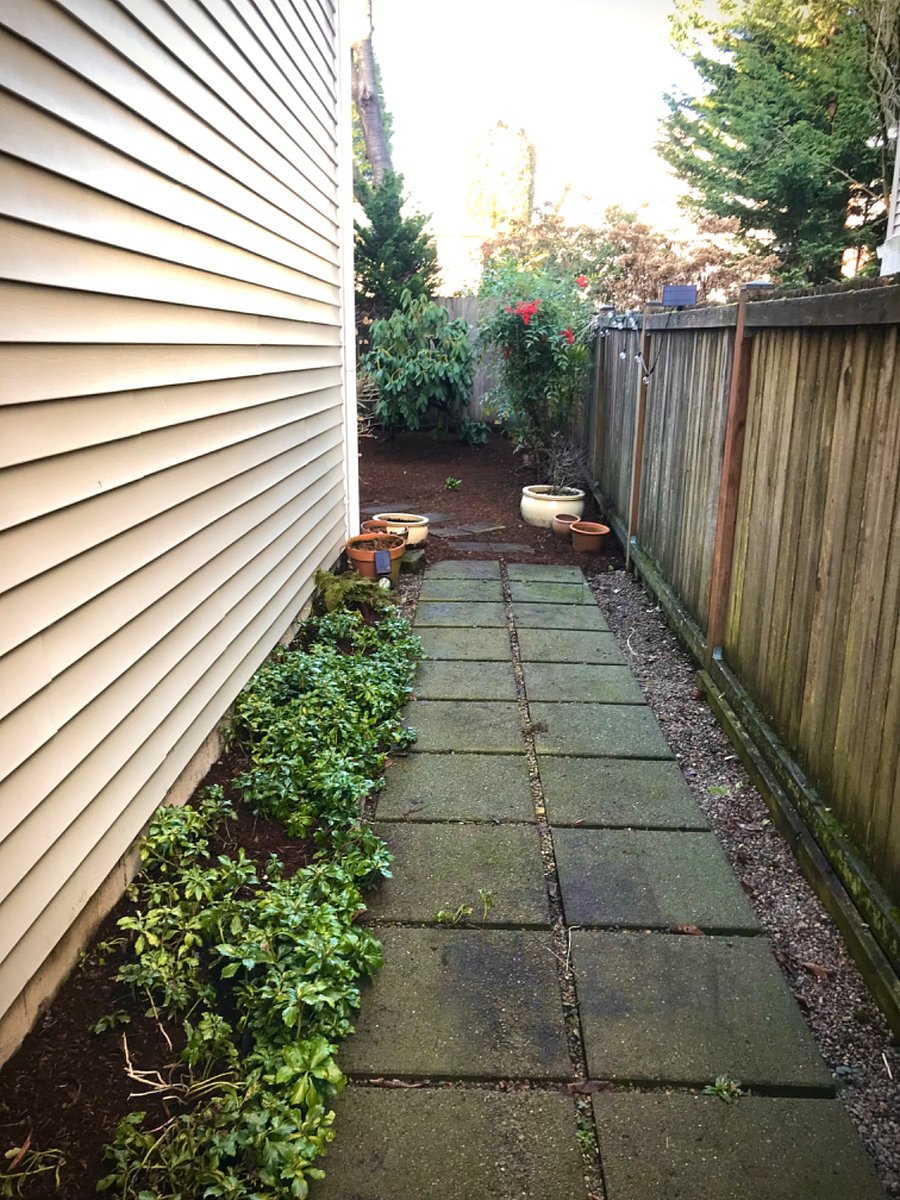 Side walkway to fenced in back yard.