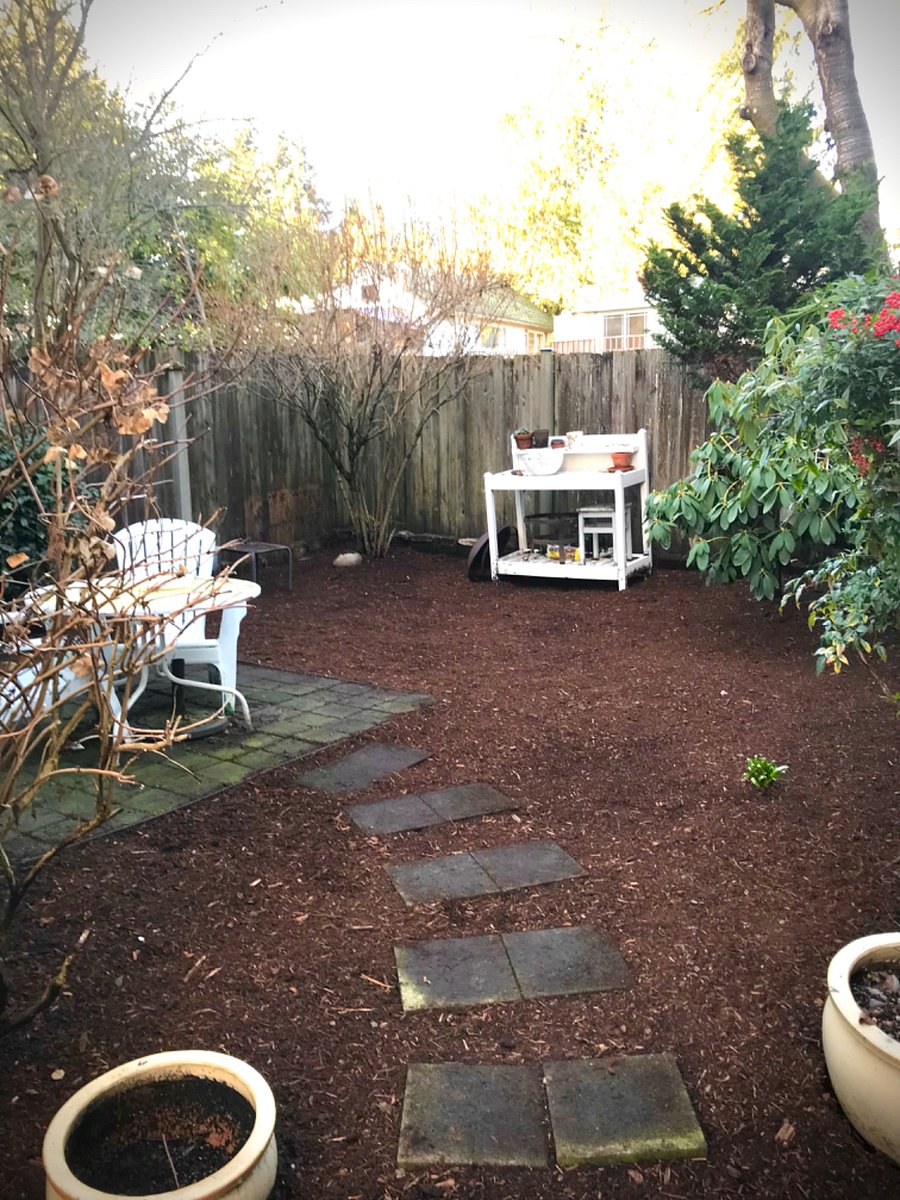 Fenced in backyard