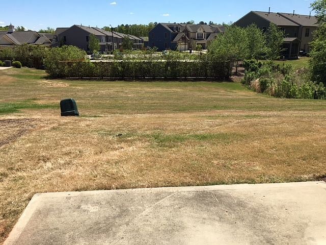 Backyard looking to the pool area