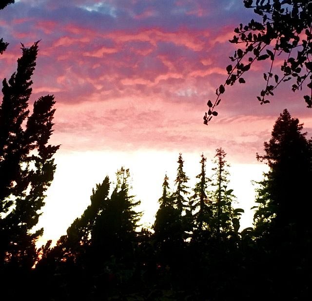 sunset from back yard