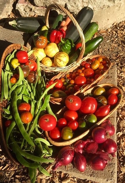 The yard produces vegetables and fruit in season, which I am happy to share with you.