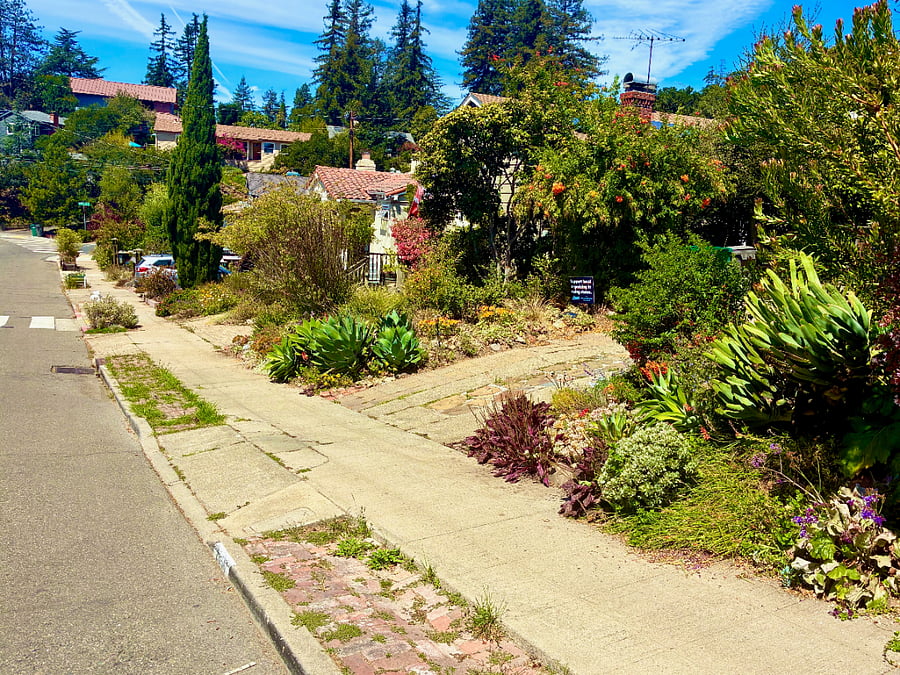 neighborhood: see multiple parking spots (both sides of street)