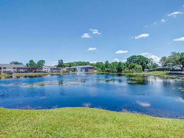 Furnished Finder property 380072_1 photo 17
