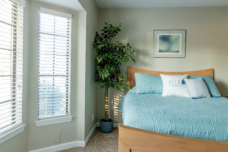 Furnished Finder property 380252_1 photo 18